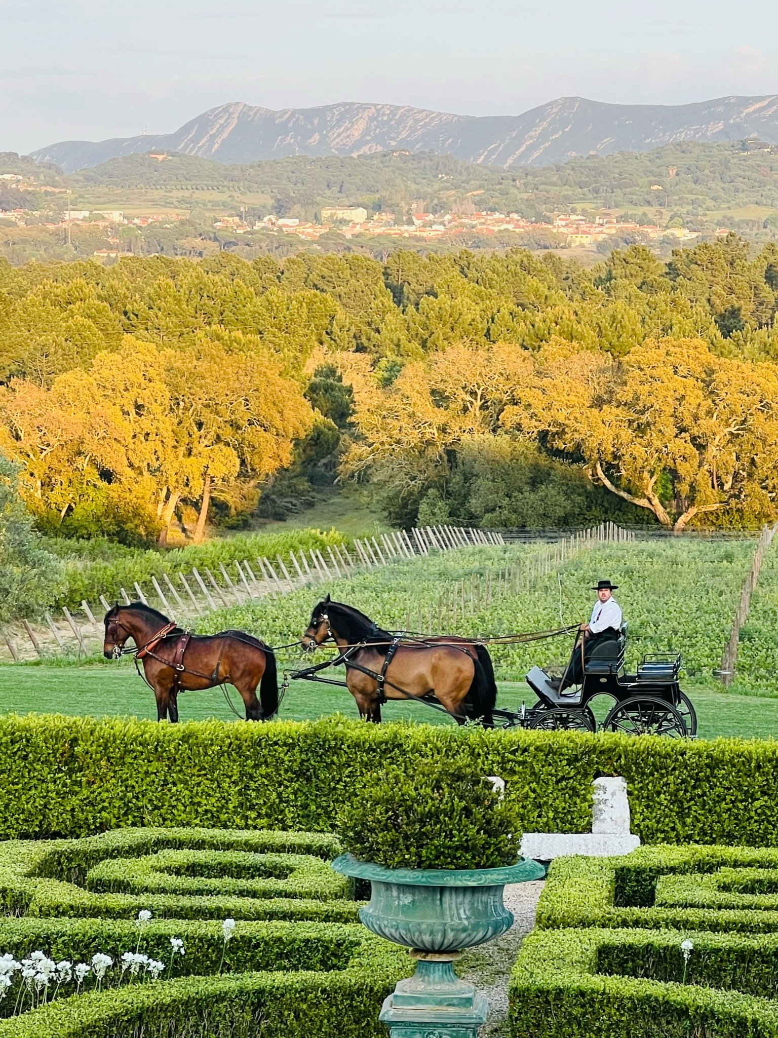 3C7C4FB8-0377-43B8-A646-81DD565CD47D