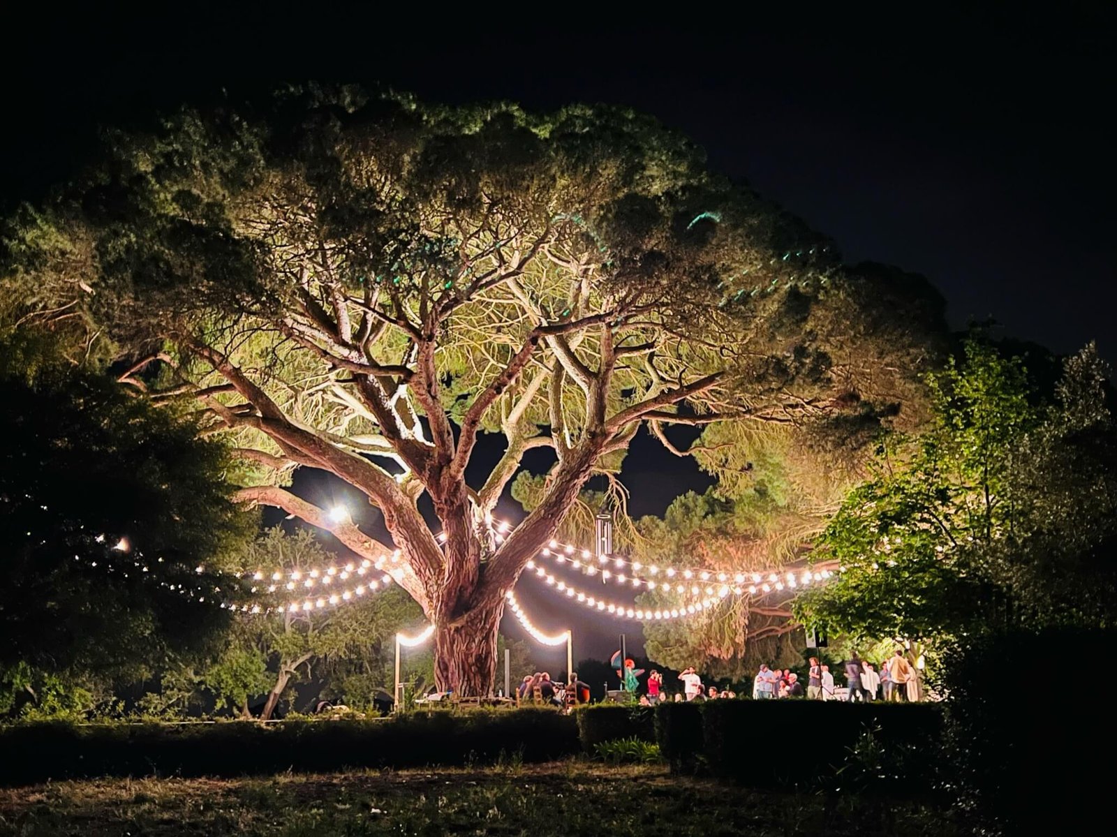 34267450-E94D-45AA-8B78-333C7636620B