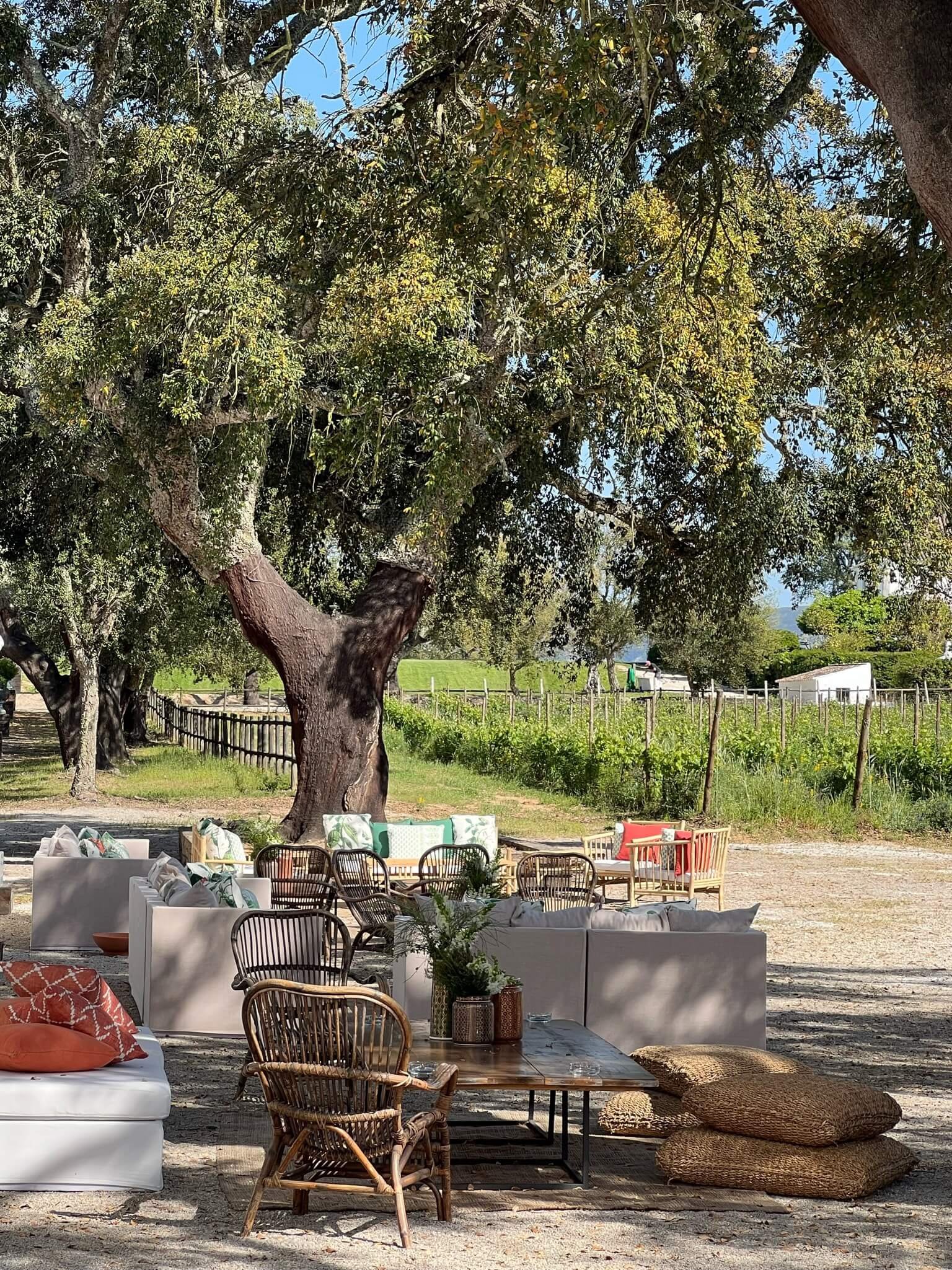 62617BAB-EA56-42F6-8A6B-FA3324750EA8