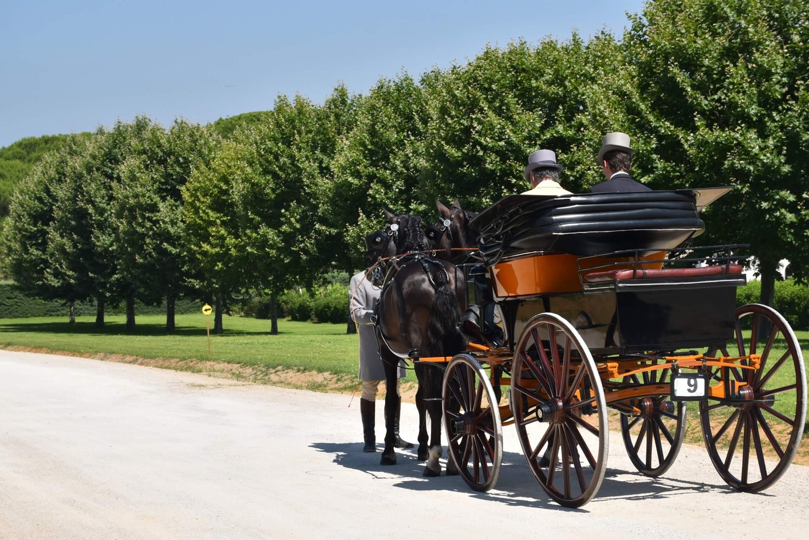 A21806C9-9050-44D0-9E49-A6CE322AB412